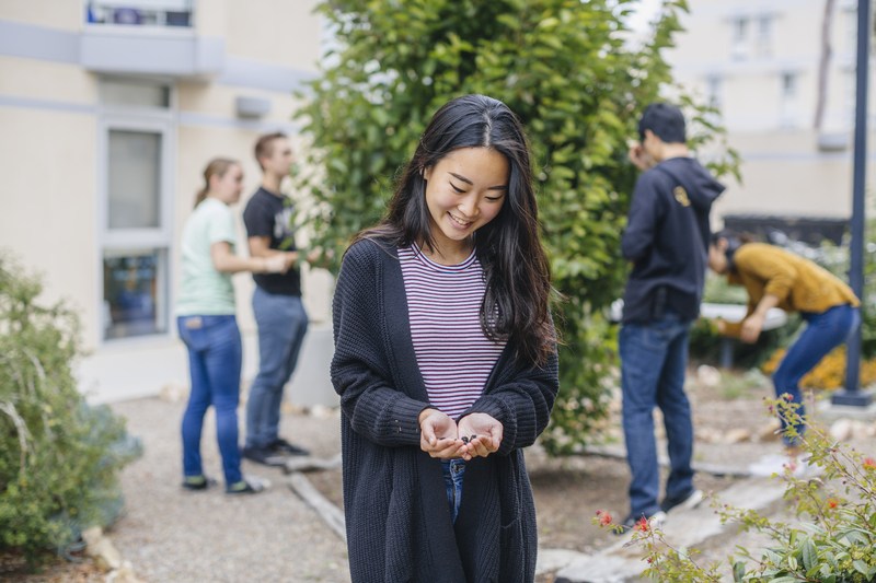 Student holding mulberries from one of UC San Diego's gardens